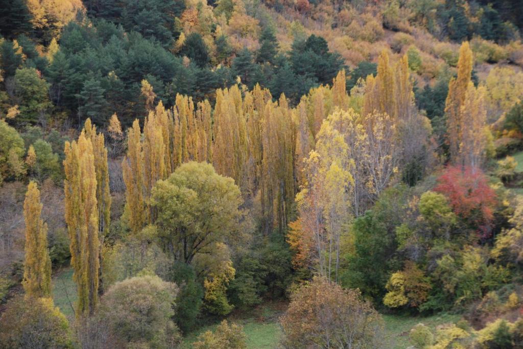 Turisme Rural Lo Palle De Cal Bosch Llagunes Exterior photo
