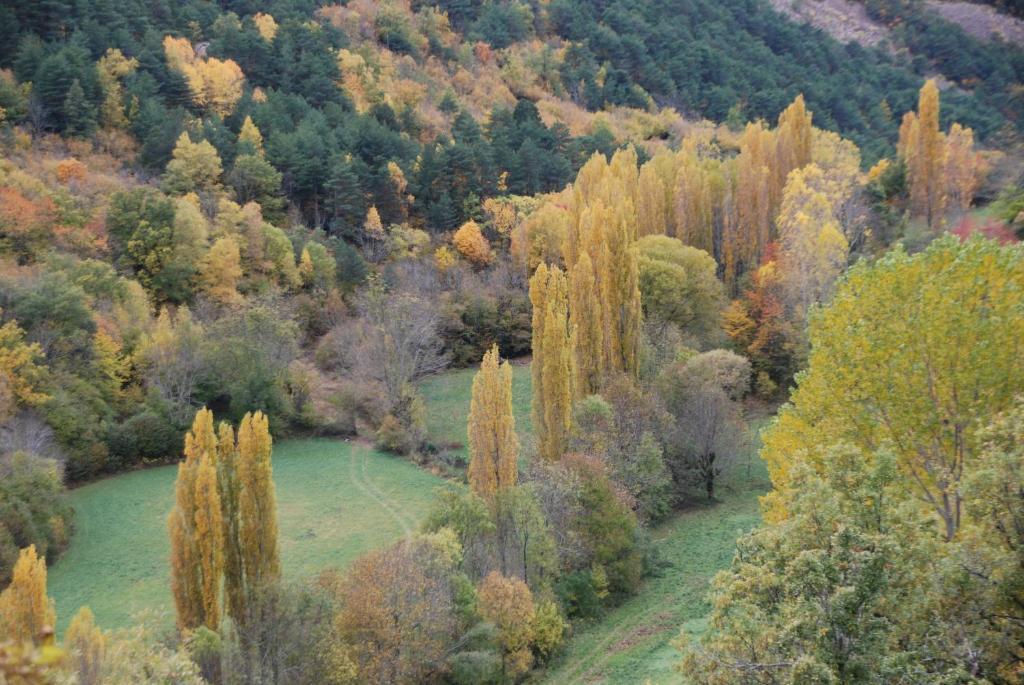 Turisme Rural Lo Palle De Cal Bosch Llagunes Exterior photo